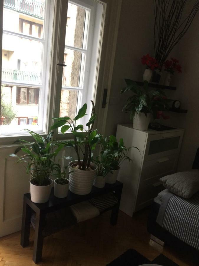 Sunshine Apartment